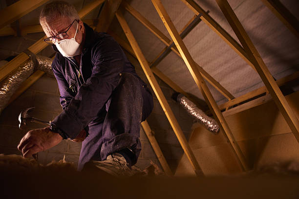 Best Residential Insulation in Macclenny, FL